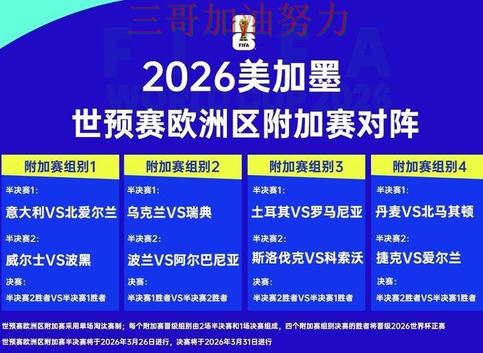 世界杯投注平台入口汇总：怎么选其实很简单（2026世界杯）